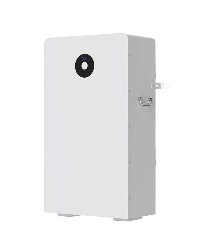 DEYE LV Battery RW F-16